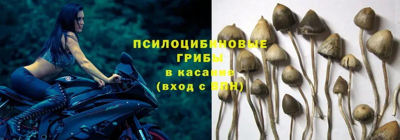 Галлюциногенные грибы MAGIC MUSHROOMS  магазин  наркотиков  ссылка на мегу ТОР  Артёмовск 